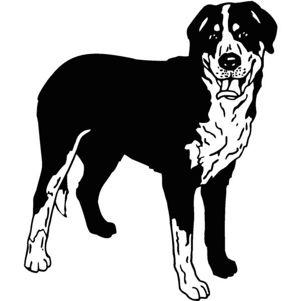 greater swiss mountain dog Thumbnail