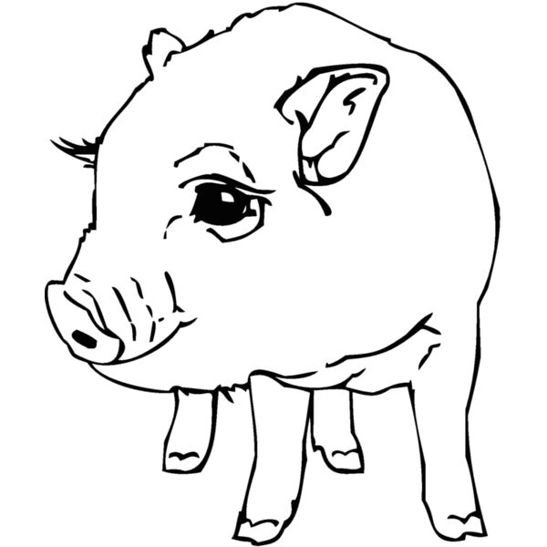 potbellypig Thumbnail