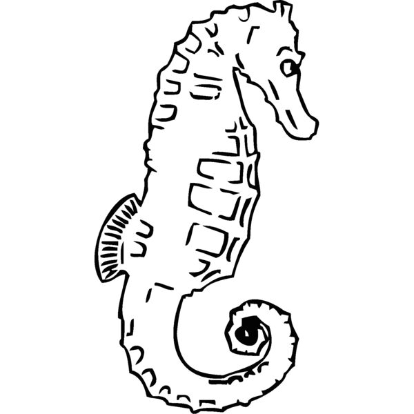 seahorse Thumbnail
