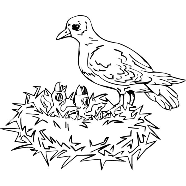 mom w chicks Thumbnail