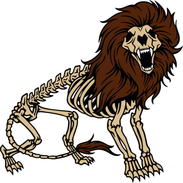lion skeleton 1 Thumbnail