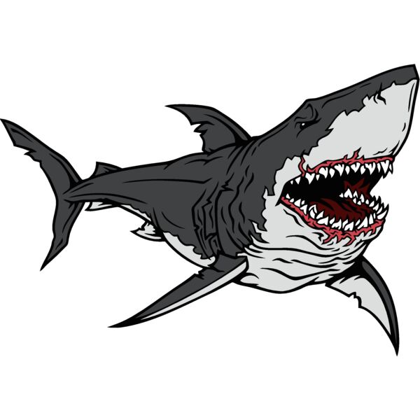 shark01v4clr Thumbnail