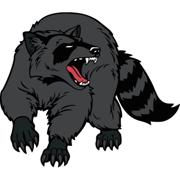 raccoonjk7 Thumbnail