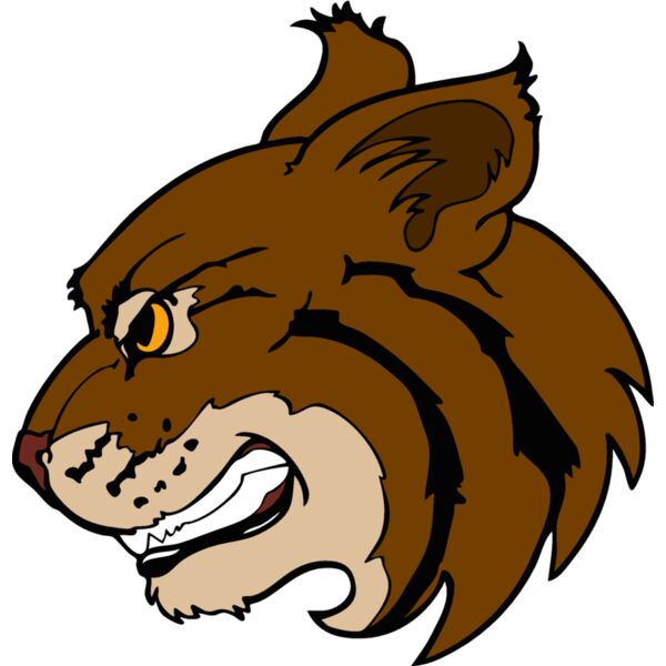 wildcathd01 Thumbnail