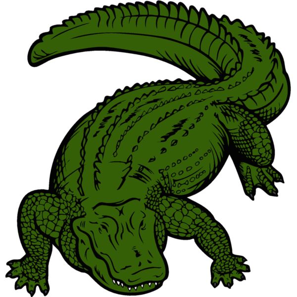 gator01v4clr Thumbnail