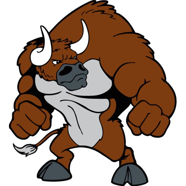 bullmsct06 Thumbnail