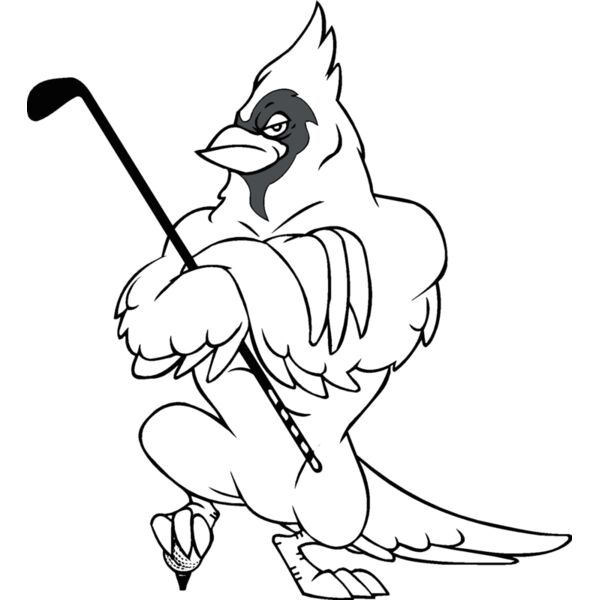 crdblglfbns Thumbnail