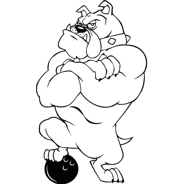 bulldogbowling Thumbnail