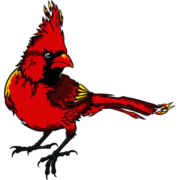 cardinalm08 Thumbnail